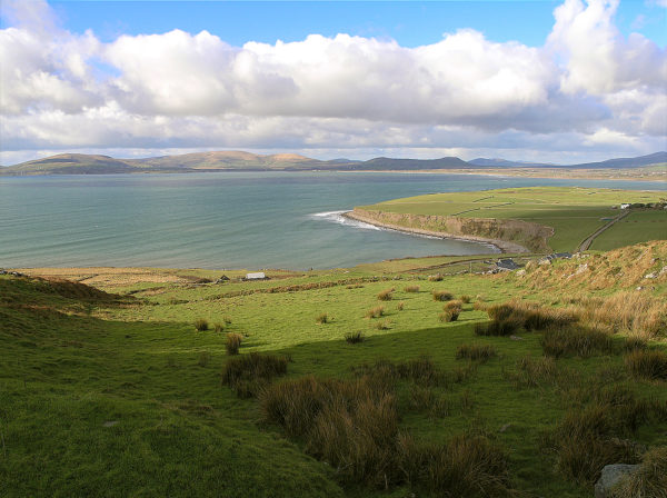 Ballinskelligs Bay on the west coast of Ireland with green fields in the foreground, mountains in the distance and clouds in a blue sky.