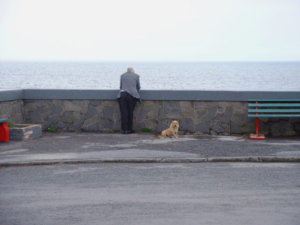 Man leaning on stone wall looking at Atlantic Ocean in the background with his small orange-yellow colored dog to his right on an overcast grey on the West Coast of Ireland.