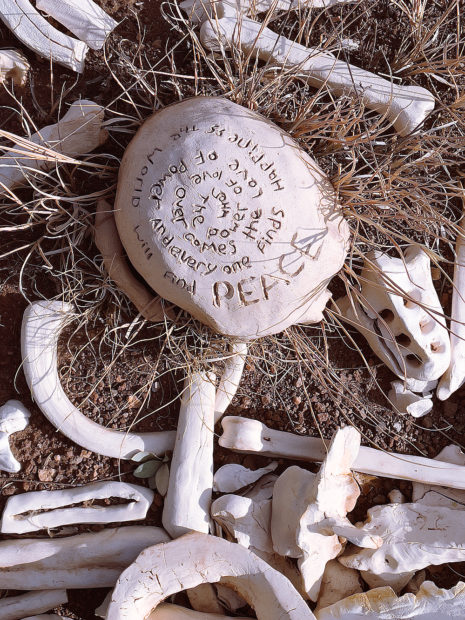 One Million Bones art project sculptures of a skull and bones in a field near Silver City, New Mexico