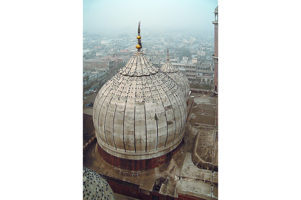 Pigeons on domes of Jama Masjid, Delhi, India with the surrounding neighborhood in the foggy background.