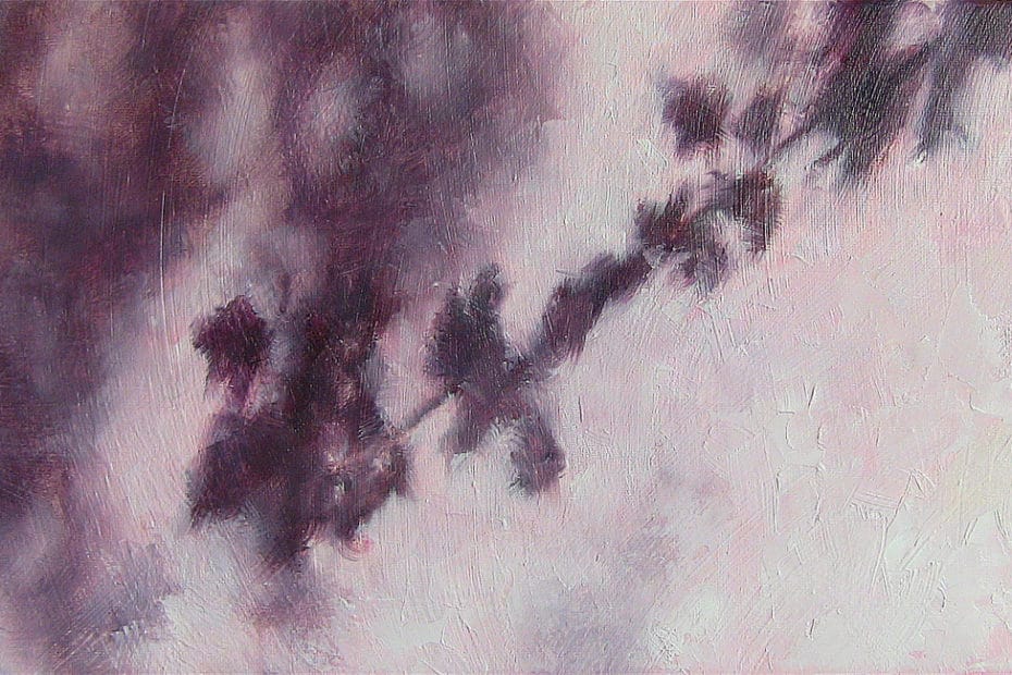 Abstract painting of a wall with shadows of leaves and branches in Ireland