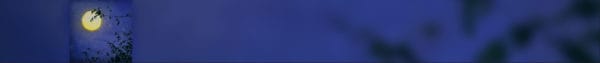 Painting of a Full Moon on a dark blue background by Seamus Berkeley